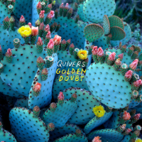Quivers - Golden Doubt